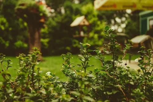 Tout sur la conception d'un jardin