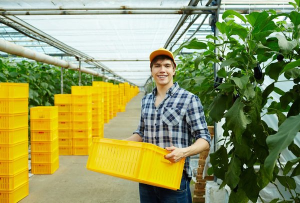 Outils pour l'agriculture maraîchère : quels sont les éléments dont vous avez besoin ?