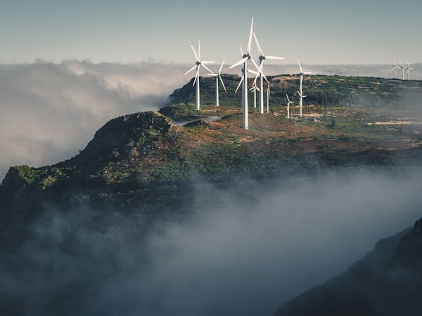 L'énergie renouvelable : votre solution pour des économies durables