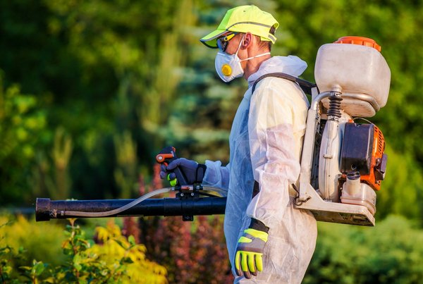 Choisir un expert anti nuisible dans le vaucluse : que savoir ?